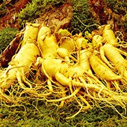 专业防护套装