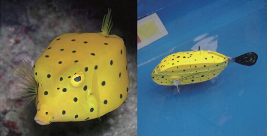 九游体育：国际水中机器人大赛(图2)