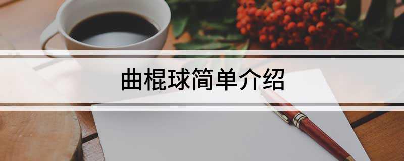 九游体育：曲棍球简单介绍(图1)