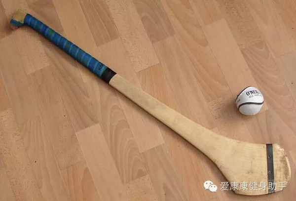 九游官网入口：软式曲棍球教练员培训班华东站成功举行70余名学员收获颇丰！(图1)