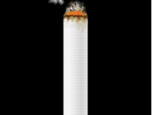 九游官网入口：卷烟模拟器(图1)