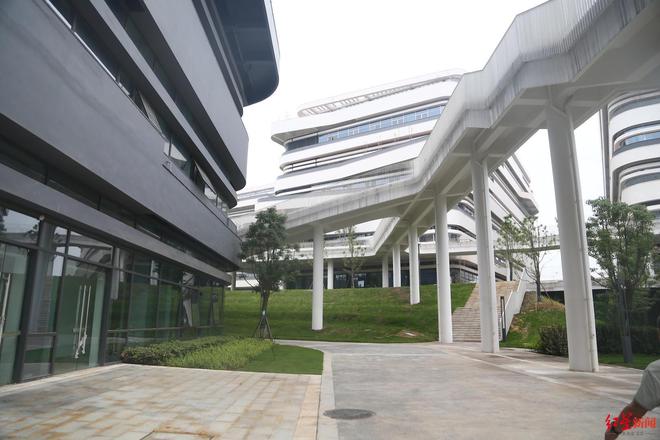 九游体育:全球首创!“成都造”仿生胶原蛋白突破热稳定性难题(图4)