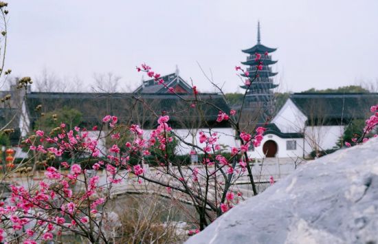 联动2025世界赛艇锦标赛 青浦还有这么多好去处(图17)