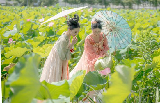 联动2025世界赛艇锦标赛 青浦还有这么多好去处(图38)