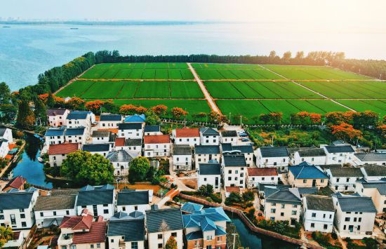 联动2025世界赛艇锦标赛 青浦还有这么多好去处(图41)