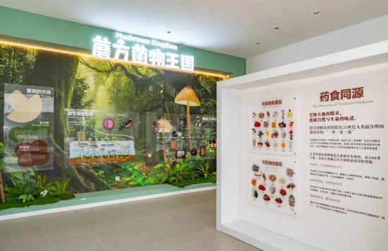 联动2025世界赛艇锦标赛 青浦还有这么多好去处(图48)