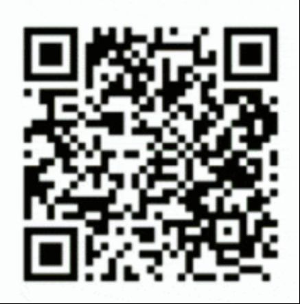 联动2025世界赛艇锦标赛 青浦还有这么多好去处(图6)