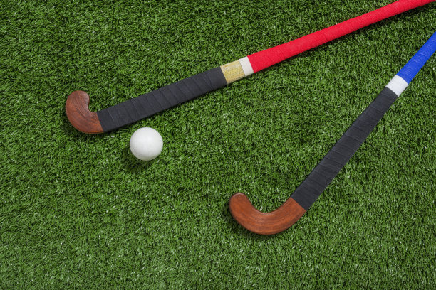 九游app：2024-2029全球與中國便攜式網系統市場現狀及未來發展趨勢(图1)