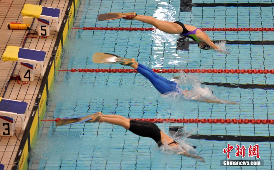 九游app：2025广东省大学生游泳锦标赛激情开赛汇聚未来游泳之星(图1)