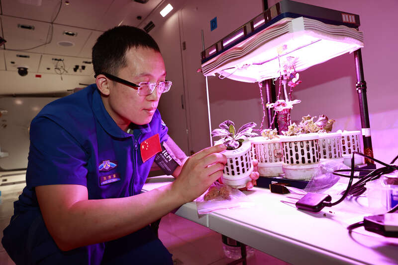 航天员张洪章:做国家需要的事做国家需要的人(图2)