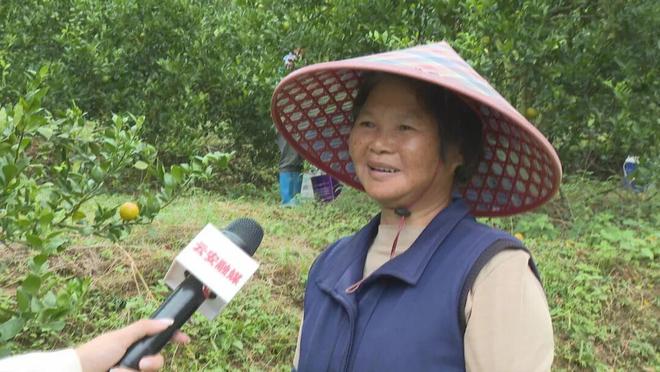 九游app：富林金秋砂糖桔全运会曲棍球赛场特供水果！(图4)