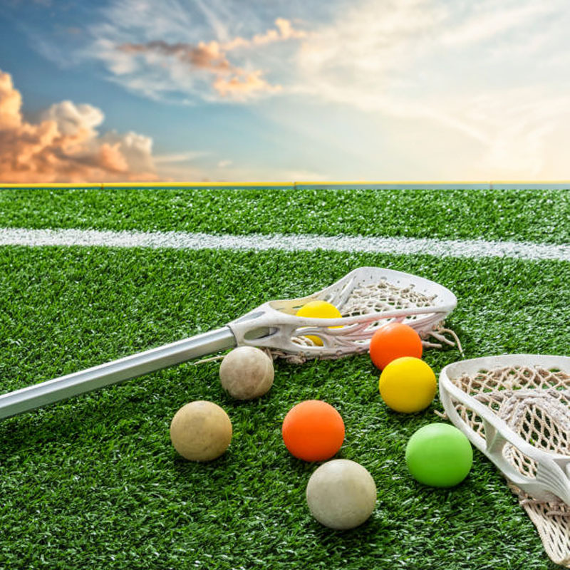 十五运会观赛指南(图1)