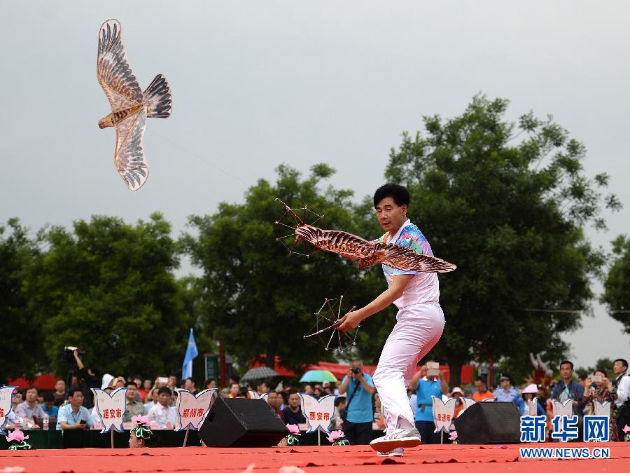 【文体艺苑】水中芭蕾(图4)