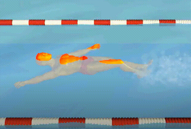 九游官网入口：游泳比赛里原来真的可以用狗刨？！(图5)