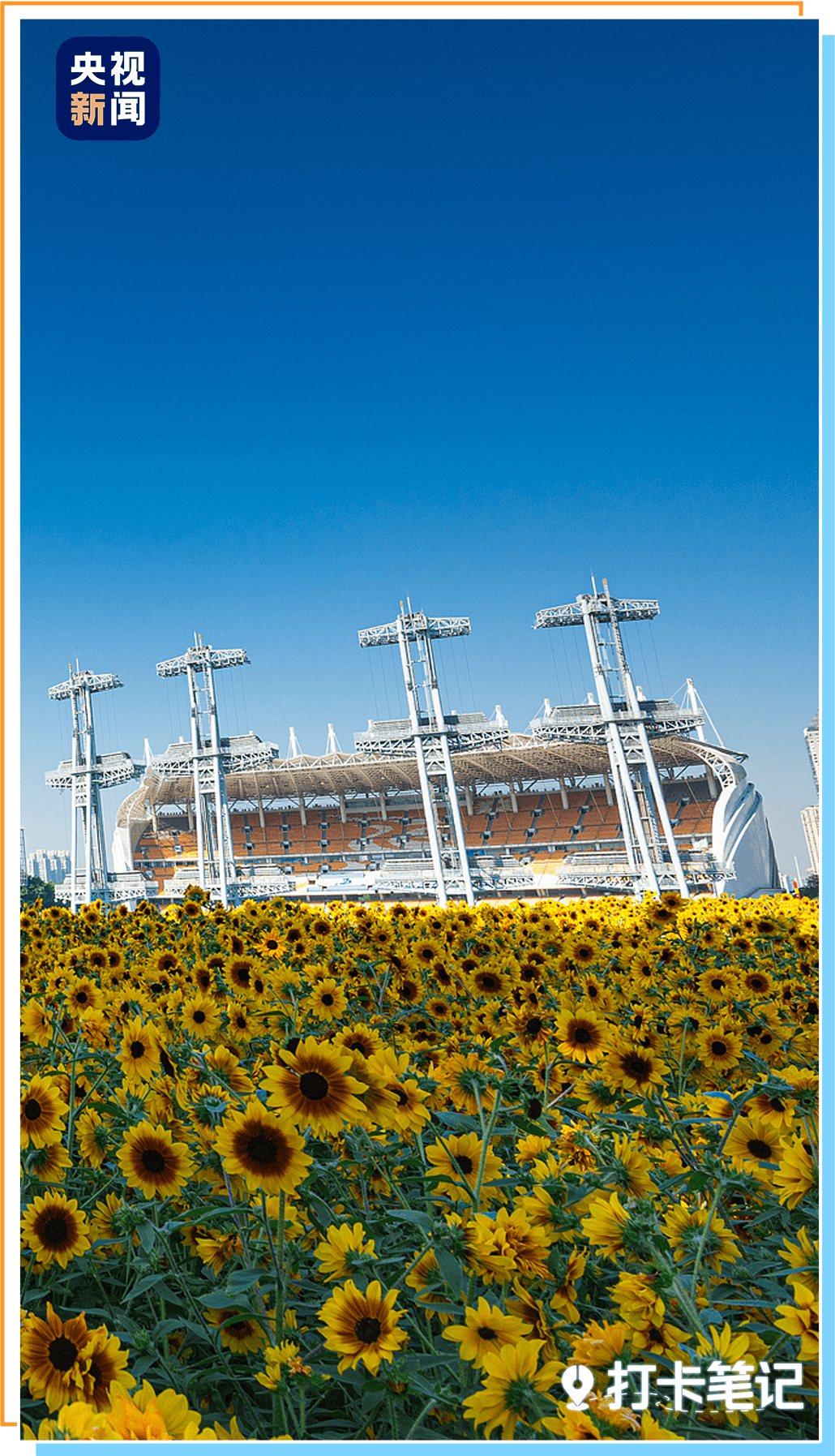 九游官网入口:去粤港澳这篇就够了!最新指南→(图1)