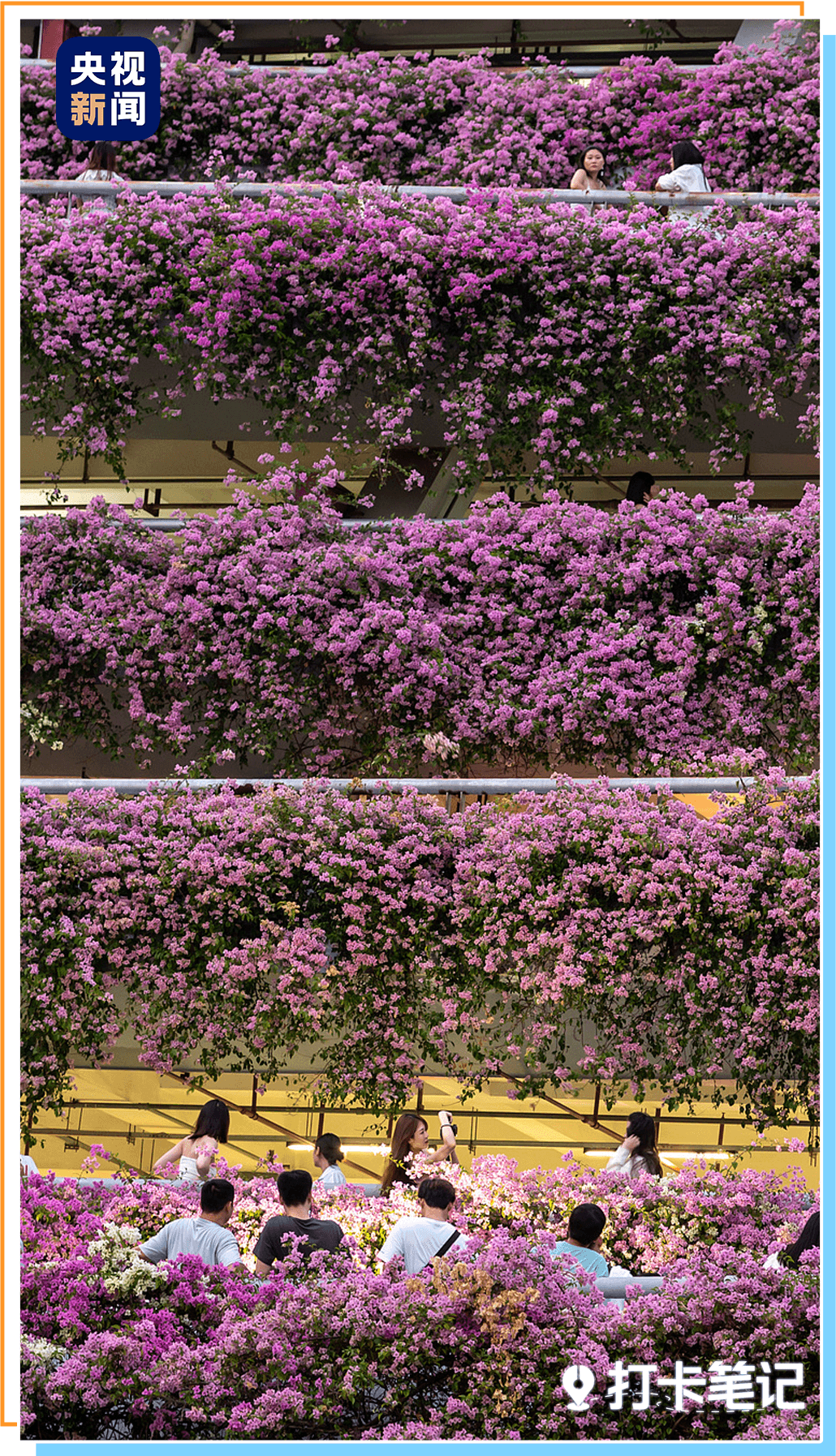 九游官网入口:去粤港澳这篇就够了!最新指南→(图6)