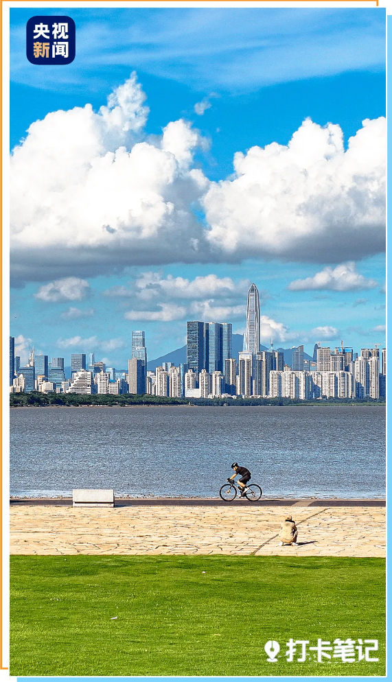 九游官网入口:去粤港澳这篇就够了!最新指南→(图7)