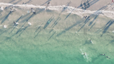 九游官网入口:去粤港澳这篇就够了!最新指南→(图9)