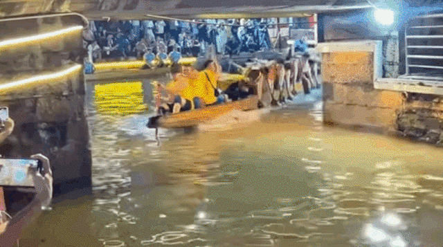 九游官网入口:去粤港澳这篇就够了!最新指南→(图24)