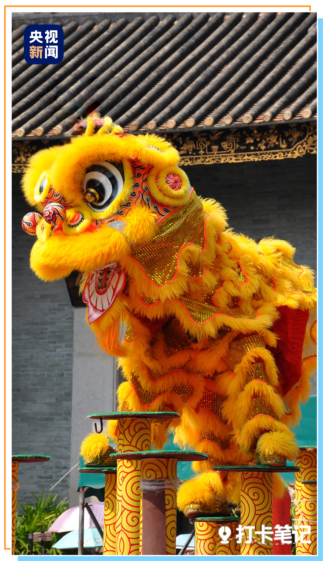 九游官网入口:去粤港澳这篇就够了!最新指南→(图25)