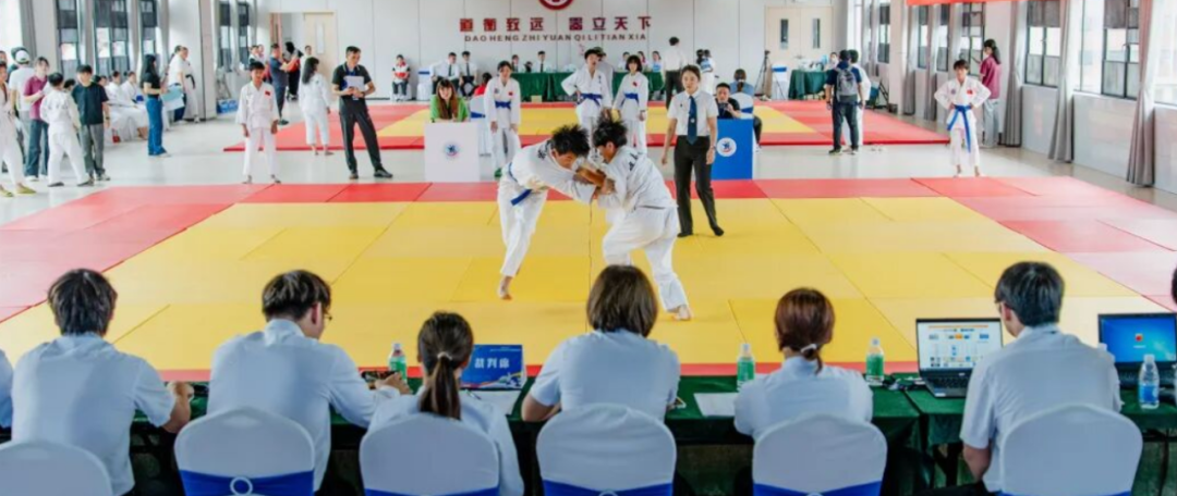 九游官网入口:去粤港澳这篇就够了!最新指南→(图31)