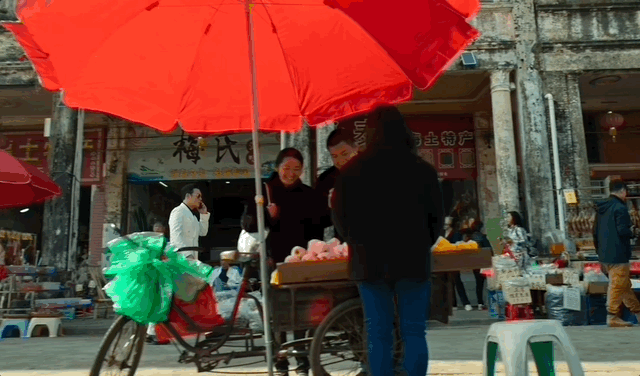 九游官网入口:去粤港澳这篇就够了!最新指南→(图34)