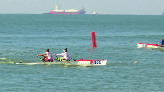 九游官网入口:去粤港澳这篇就够了!最新指南→(图45)