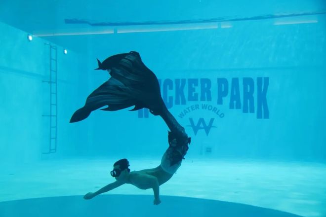 国内最高水平！这场比赛在青浦举行(图1)