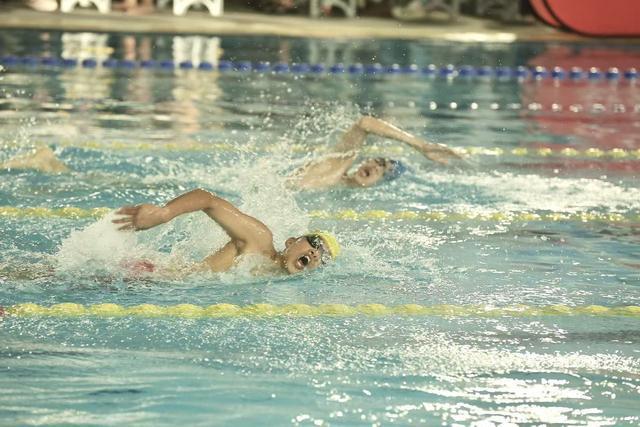 “中国体育彩票杯”2025年北京市体育传统项目学校游泳比赛举行(图5)