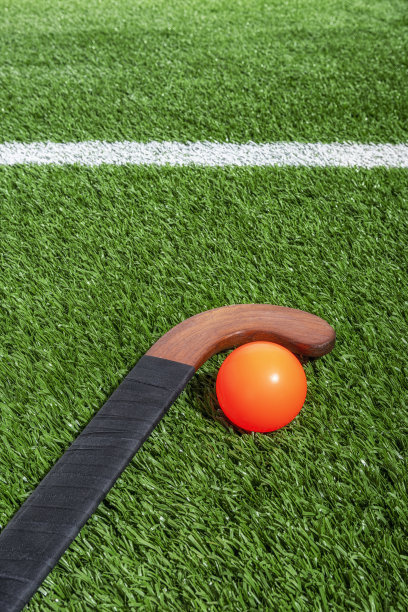 聚焦十五运丨内蒙古缘何斩获全运会曲棍球冠军？(图1)