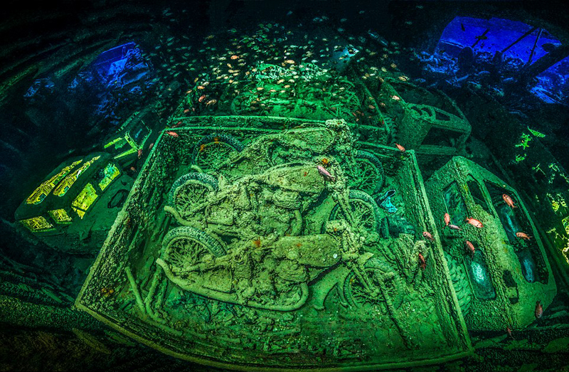 九游app:美呆!2018水下摄影大赛作品展震撼海底画卷(图1)