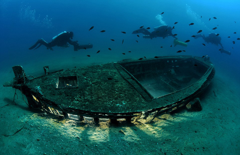 九游app:美呆!2018水下摄影大赛作品展震撼海底画卷(图5)