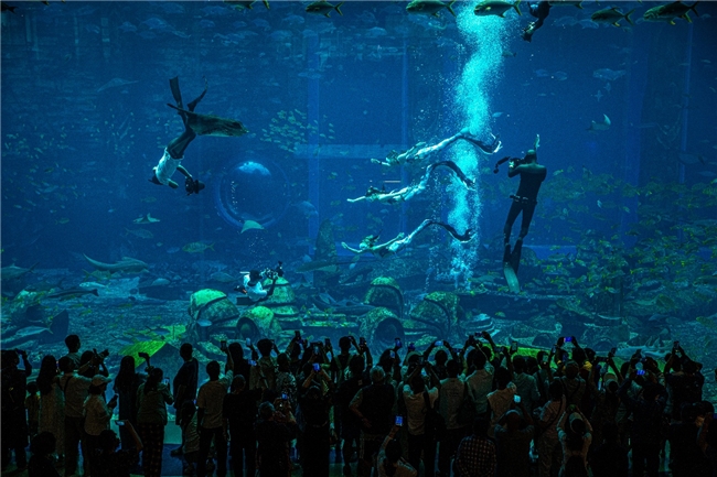 九游体育：全国高手逐浪深汕湾！2025中国桨板俱乐部联赛总决赛深汕开赛(图1)