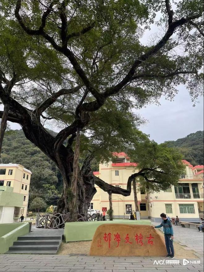 广东27条措施促农文旅融合！服务湾区世界级旅游目的地建设(图2)