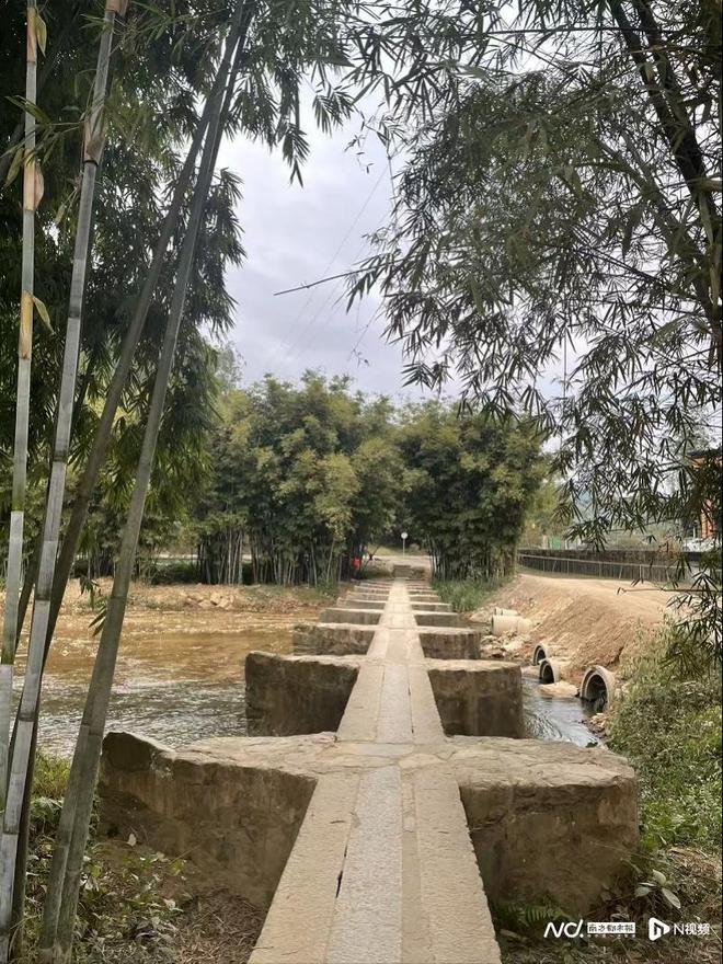 广东27条措施促农文旅融合！服务湾区世界级旅游目的地建设(图3)