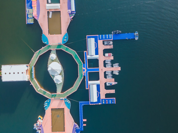 顺德文旅专线全球“招亲”首任服务员亮出热线号码(图1)