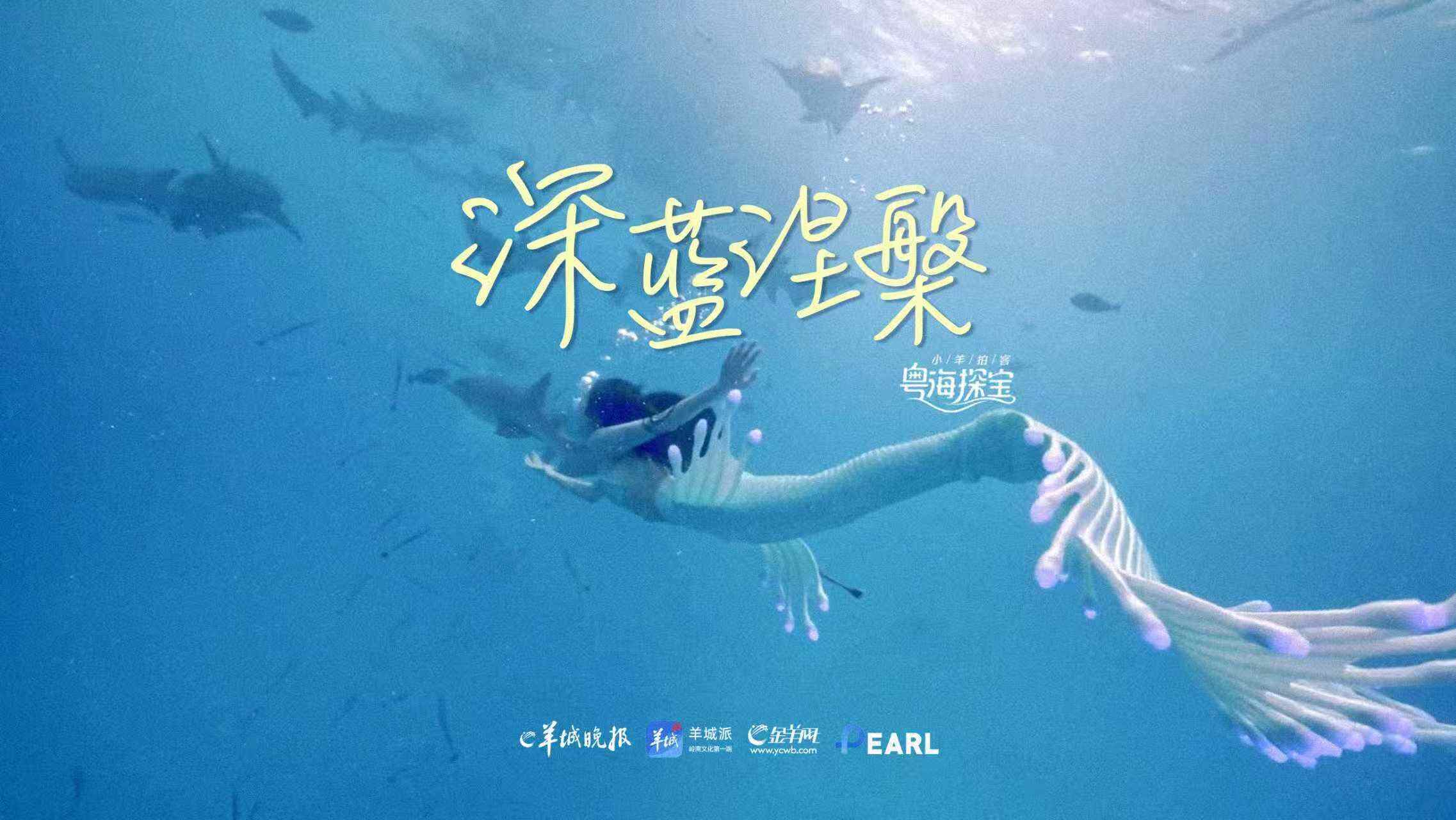 粤海探宝｜一部广东的“海之图志”(图10)