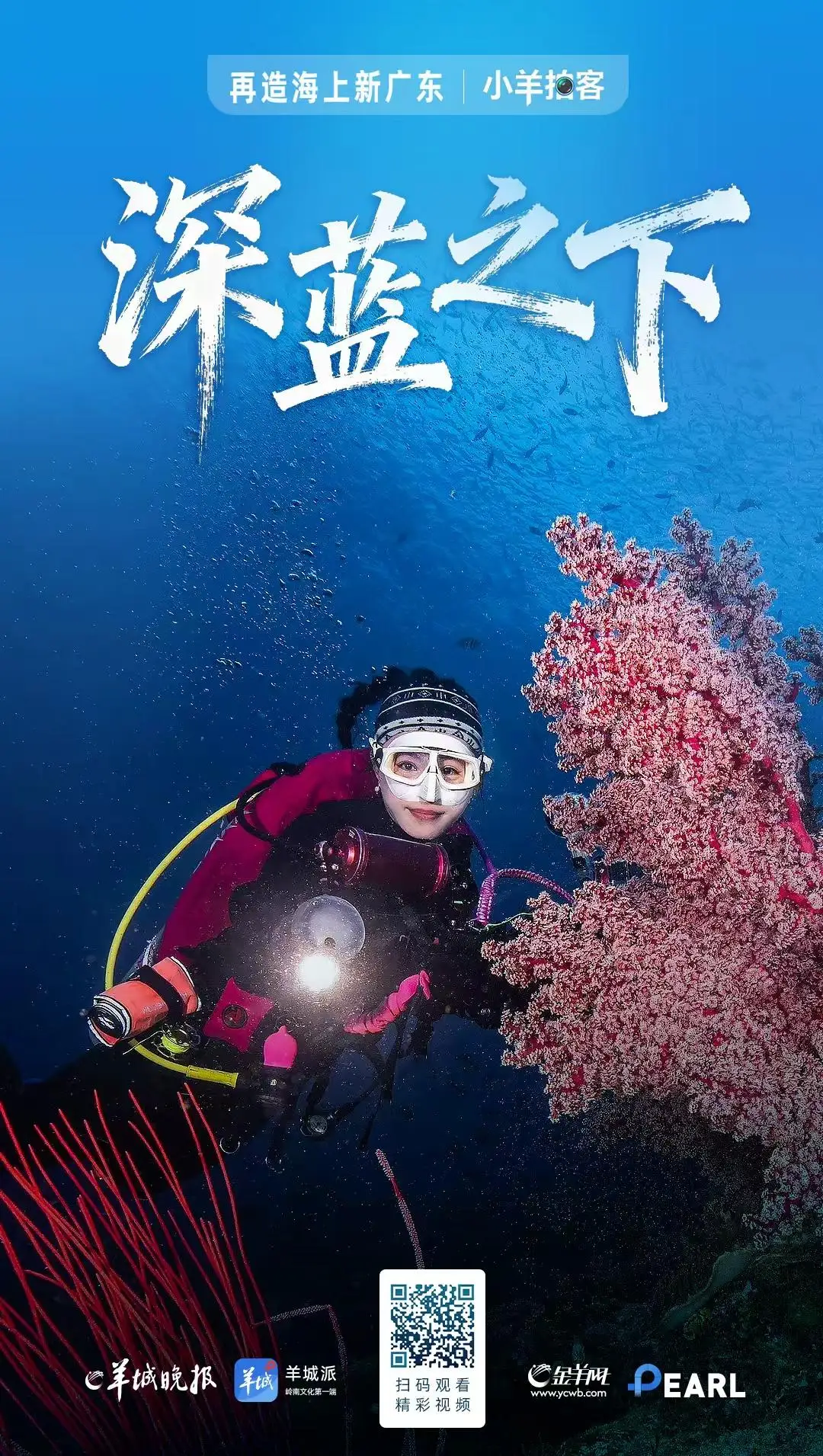 粤海探宝｜一部广东的“海之图志”(图17)