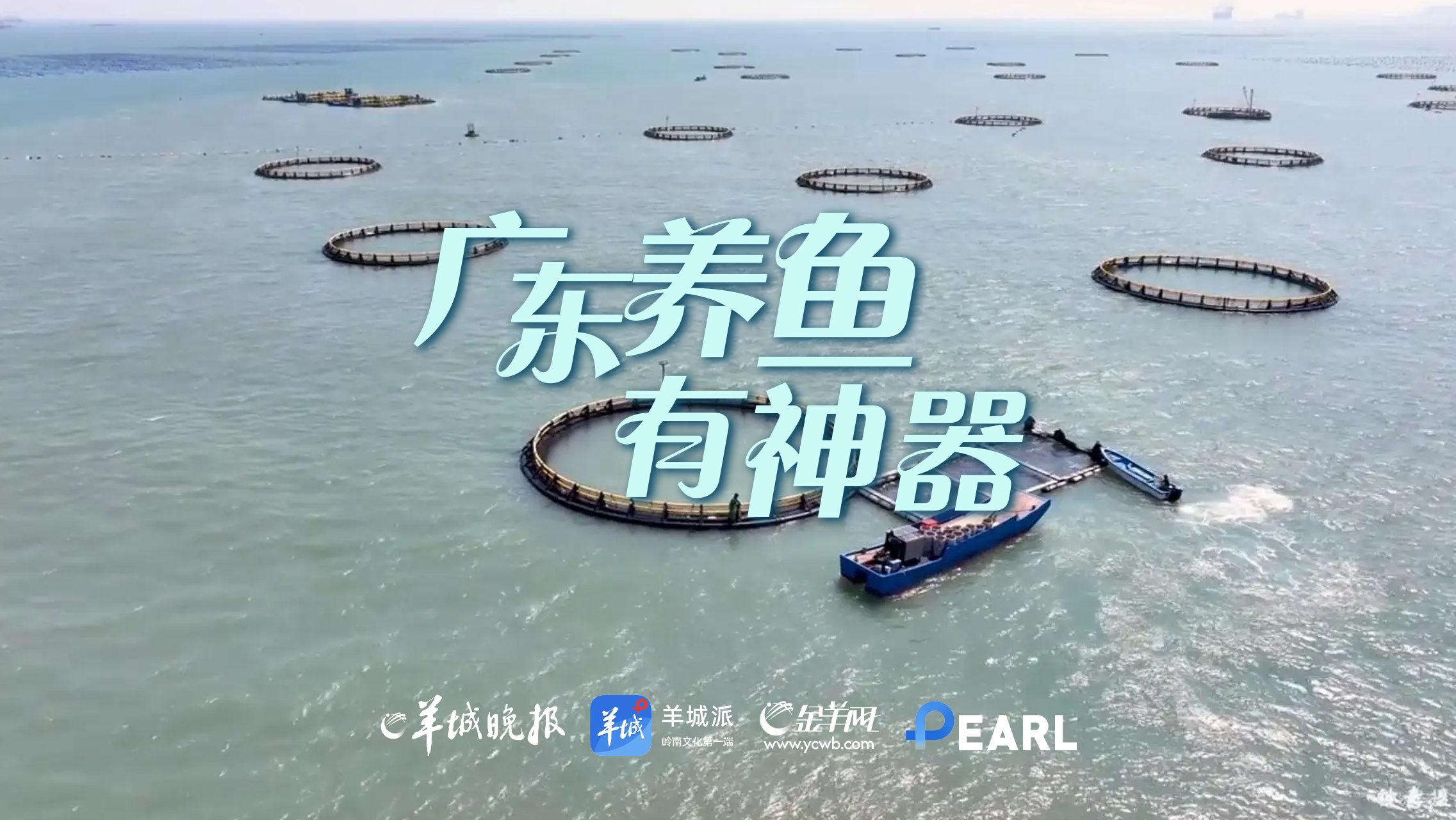 粤海探宝｜一部广东的“海之图志”(图19)