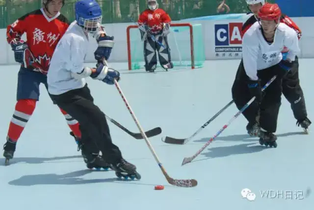 九游官网入口：冰球少年免费在线观看、冰球少年高速迅雷下载、字幕下载 -『DVD网』(图1)