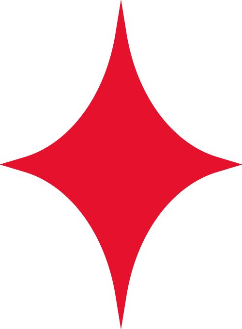 九游app：擎旗领航风正劲 奋楫扬帆启新程(图2)