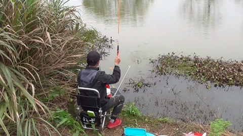 九游体育：title content(图1)