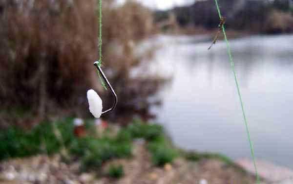 九游体育：剩米饭钓鱼老是钓不到、钓不好这几个细节没做到当然效果不行(图7)