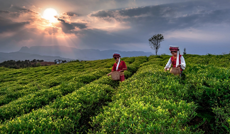 “三量”齐升 向优而行(图5)