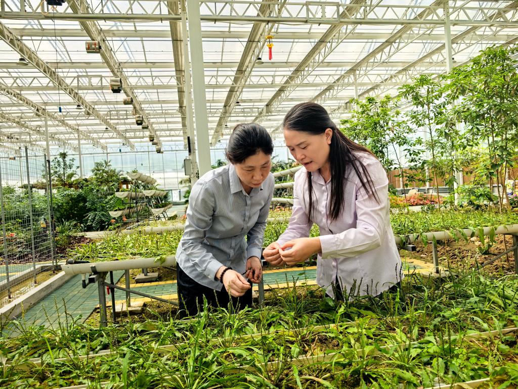 九游官网入口:习近平总书记关切事·嘱托|生态守护者的绿色画卷(图4)