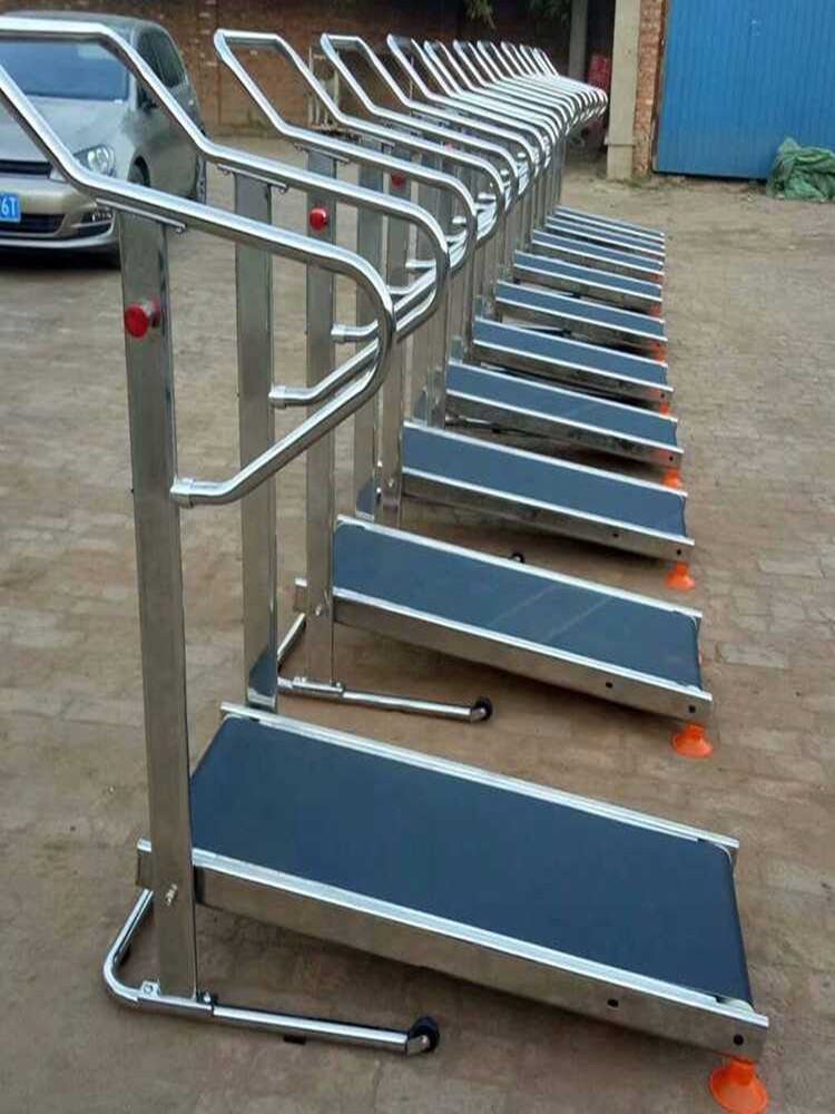 2025 CMAS世锦赛：Rui  Joana携DIVEVOLK登顶手机摄影组(图1)