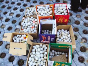 九游体育：中华人民共和国刑法(图1)