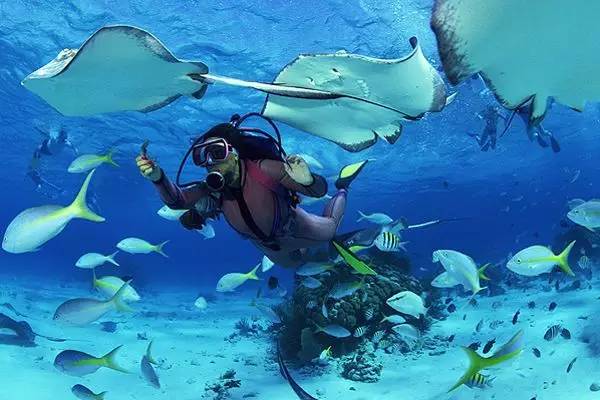 邮轮上没有艳遇姐妹们的旅行也很精彩！(图13)