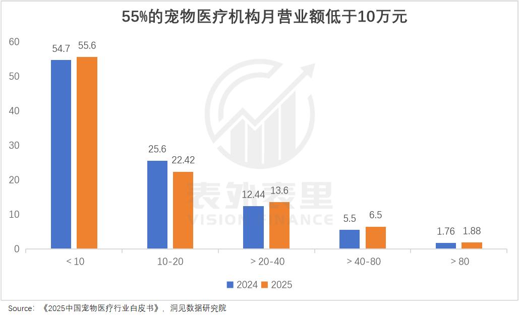 买猫500、治病5000年轻人抛弃宠物医院(图4)