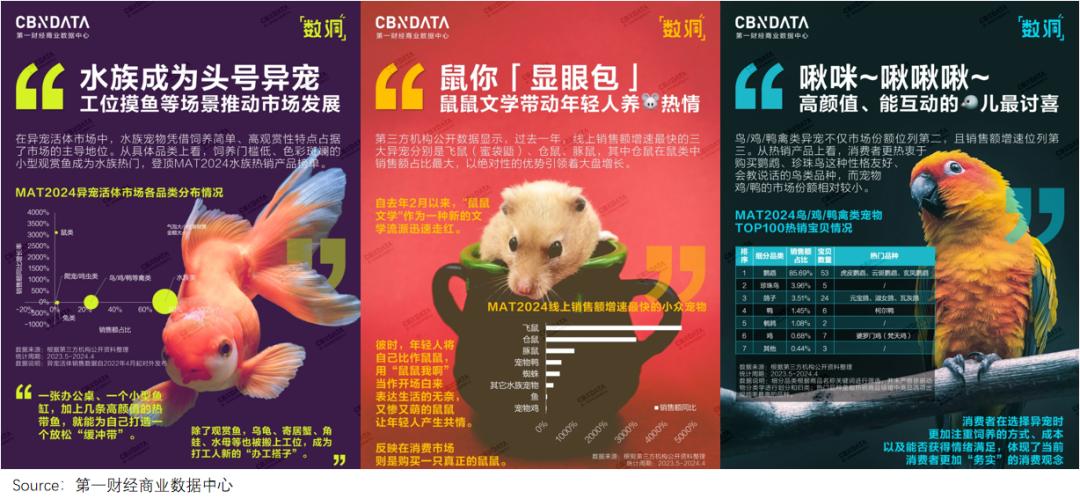 买猫500、治病5000年轻人抛弃宠物医院(图5)